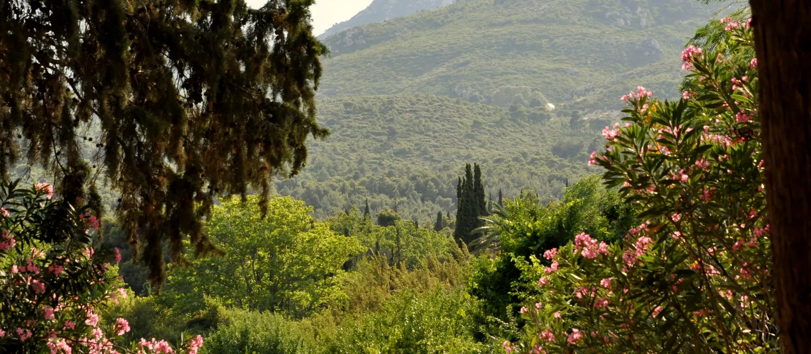 Parnitha etekleri, Tatoi · Acharnes belediyesi